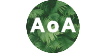 Logo Age of Awareness